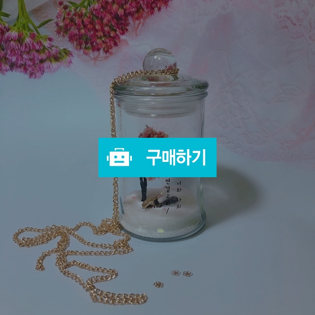 벚꽃나무 탯줄보관타임캡슐 / 기린감성님의 스토어 / 디비디비 / 구매하기 / 특가할인