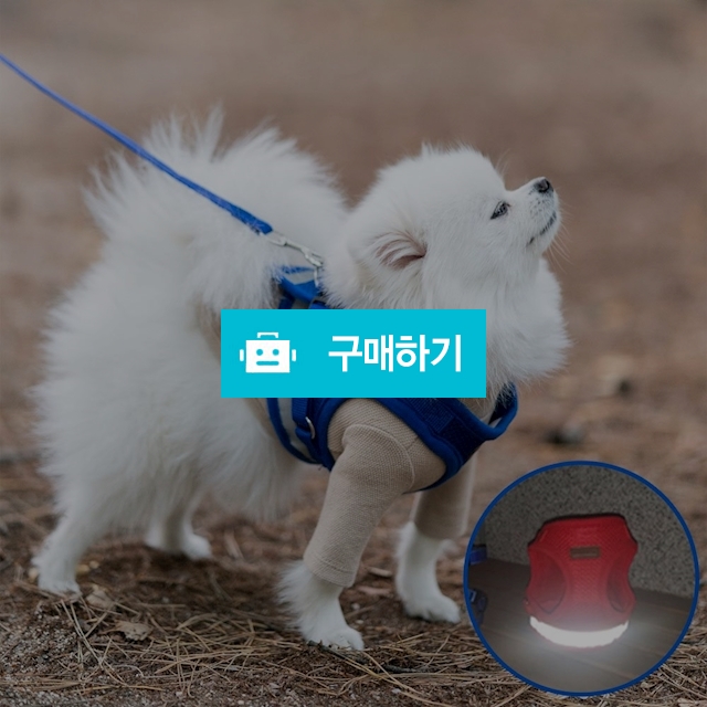 미즈펫 강아지 하네스 가슴줄 리드줄 블루 / 지앤비스토어님의 스토어 / 디비디비 / 구매하기 / 특가할인