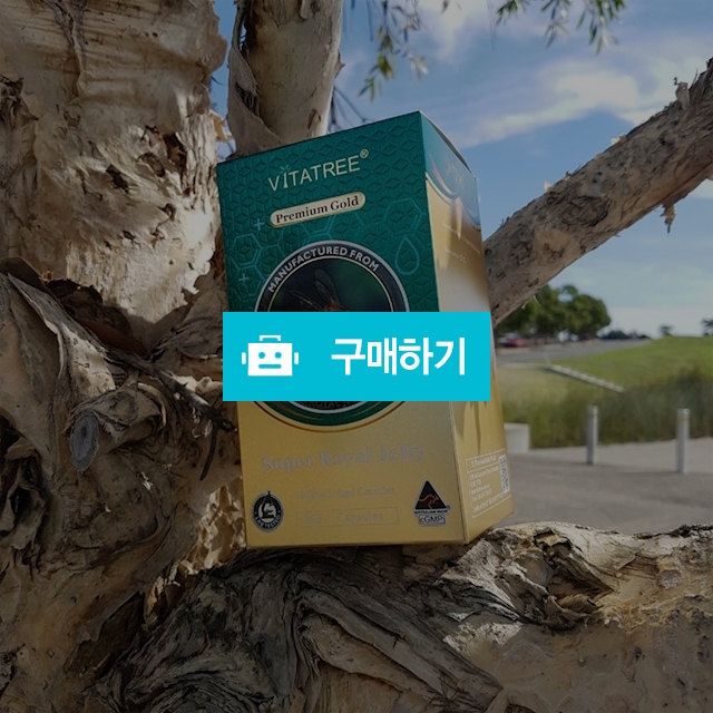 호주산 100% 고함량 로얄제리 1600mg 365정 1년치 / 배건희님의 스토어 / 디비디비 / 구매하기 / 특가할인