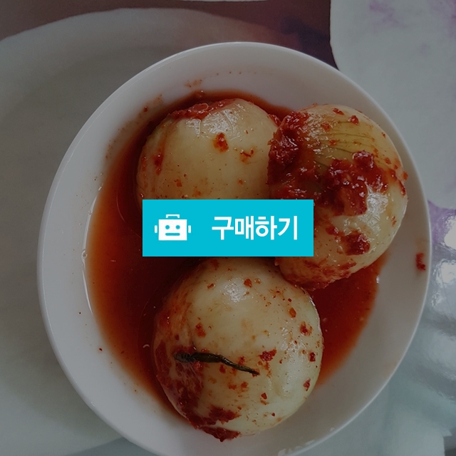 양파김치 / love1203 / 디비디비 / 구매하기 / 특가할인