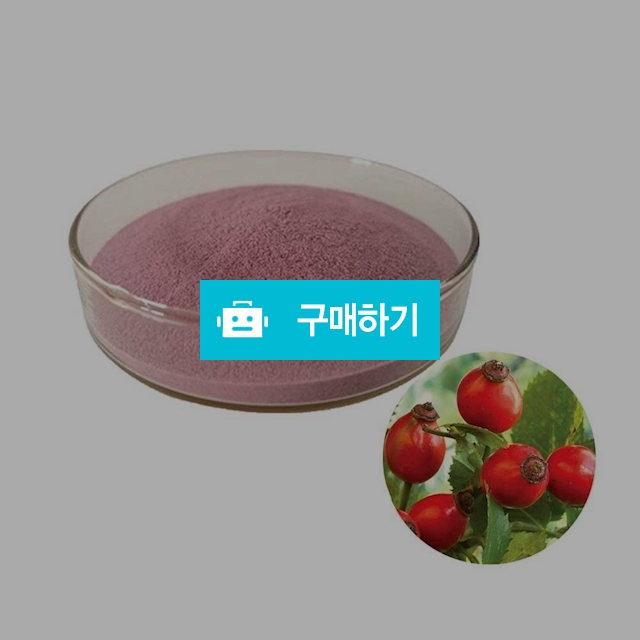 로즈힙추출분말 1kg / 엔트레이드코리아님의 스토어 / 디비디비 / 구매하기 / 특가할인