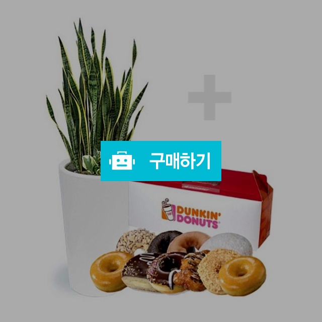 [산세베리아+던킨도너츠 기프티콘]감사선물 축하선물 화분추천 전국 꽃배달서비스  / 젠틀맨꽃배달 / 디비디비 / 구매하기 / 특가할인