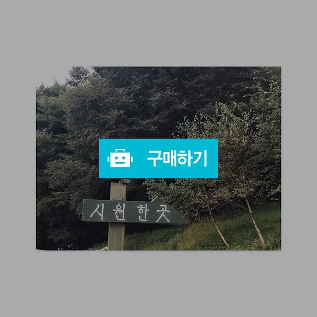 A4 포스터 - 시원한 곳 / 미안의 작업실 / 디비디비 / 구매하기 / 특가할인