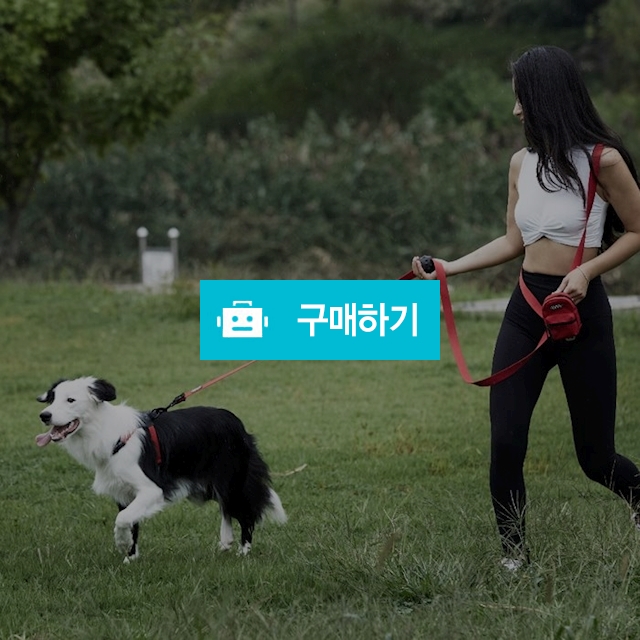 분독 2m50 플레이리쉬 롱리드줄 / 제라미펫님의 스토어 / 디비디비 / 구매하기 / 특가할인