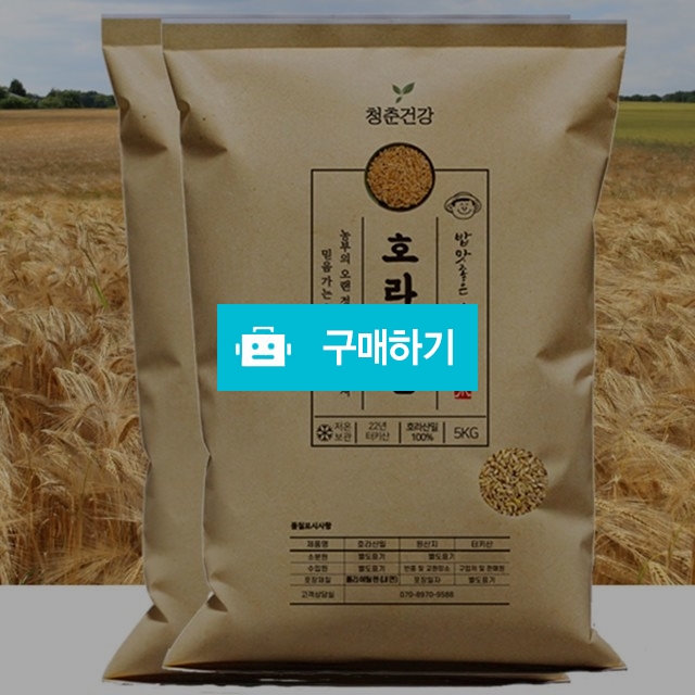 착한탄수화물 청춘건강 호라산밀 10kg 고대곡물 / 청춘건강 / 디비디비 / 구매하기 / 특가할인