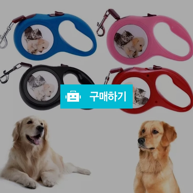 애완동물견인줄 / 포켓전담님의 스토어 / 디비디비 / 구매하기 / 특가할인