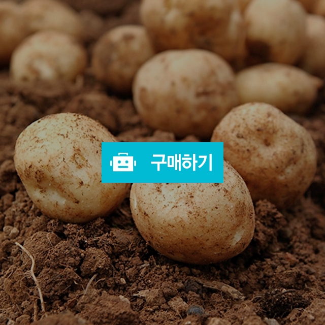2022 국내산 햇 수미 감자 5kg(중) / 미미의밥상 / 디비디비 / 구매하기 / 특가할인