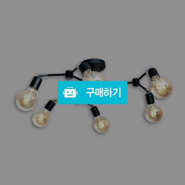 베르그6등 직부 / 유캔라이팅 / 디비디비 / 구매하기 / 특가할인
