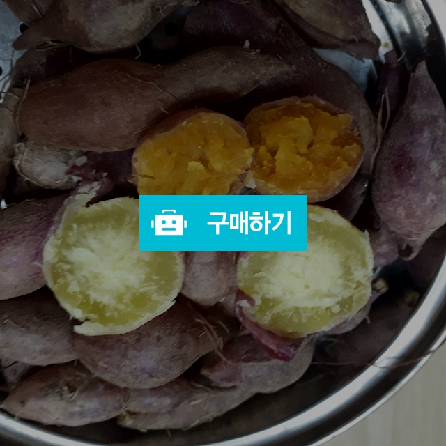 고구마 / 별난녀자별난리본님의 스토어 / 디비디비 / 구매하기 / 특가할인