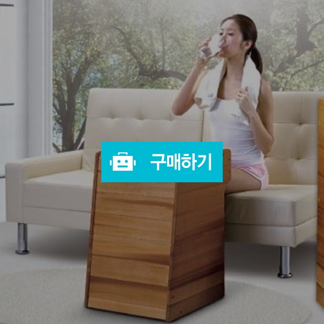 건식 원적외선 무릎사우나기 좌욕기 홈사우나 코웨이 무릎사우나기 KS-01 / SaveMall / 디비디비 / 구매하기 / 특가할인