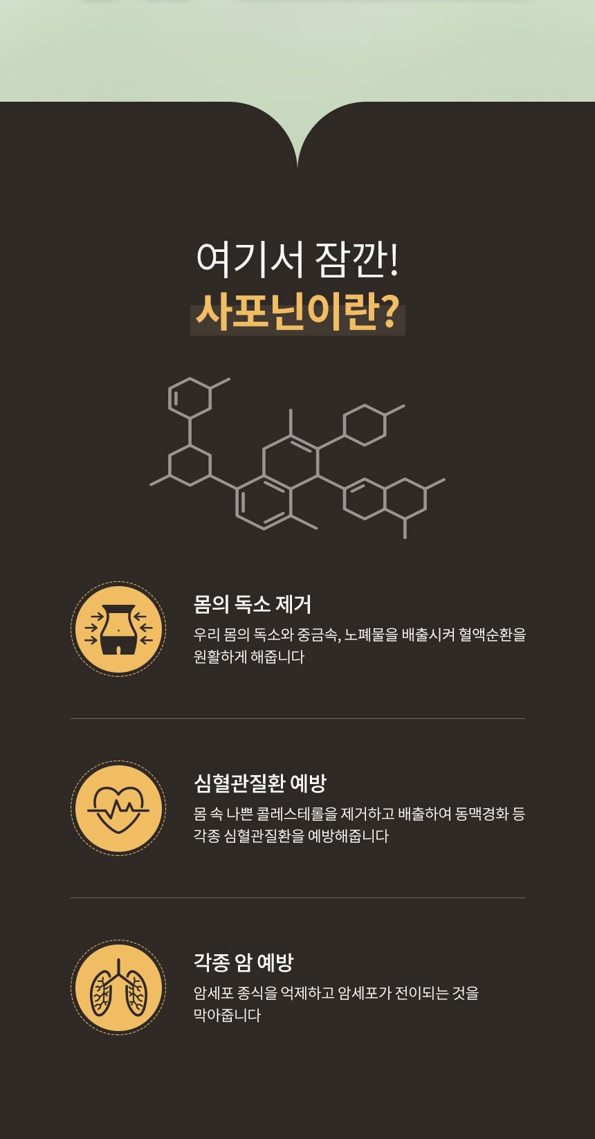 천수인 홍삼정 3Any 30포, 36,000원, 릴리트 [디비디비] 천수인 홍삼정 3Any 30포 | 36,000원