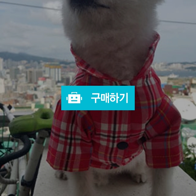 레드체크자켓 / 텐독TENDOG님의 스토어 / 디비디비 / 구매하기 / 특가할인