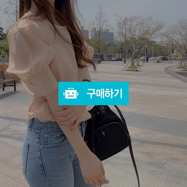 퍼프 쉬폰 라운드 반팔 블라우스 / 릴리창님의 스토어 / 디비디비 / 구매하기 / 특가할인