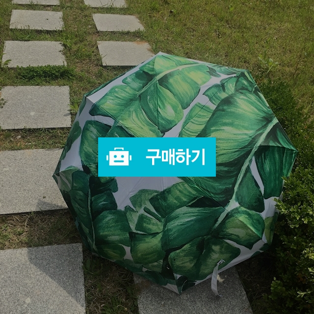 야자수 양우산 / 코코루체님의 스토어 / 디비디비 / 구매하기 / 특가할인