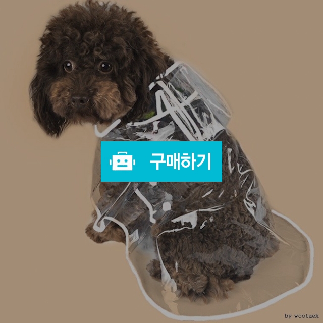 고양이 강아지 투명우비 산책우산 / 댕유마켓님의 스토어 / 디비디비 / 구매하기 / 특가할인