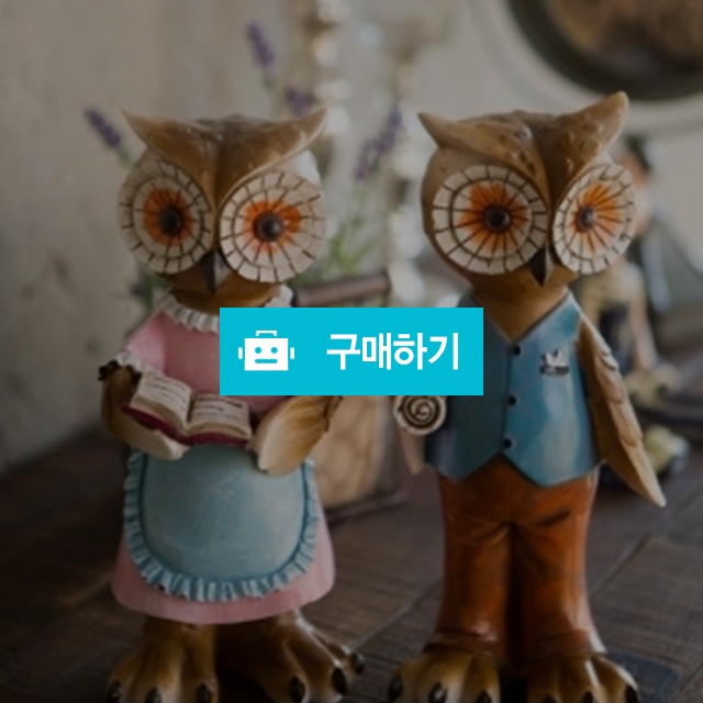 열심히 살아가는 부엉이 박사네 / 아기자기한 소품들의 공동구매 / 디비디비 / 구매하기 / 특가할인