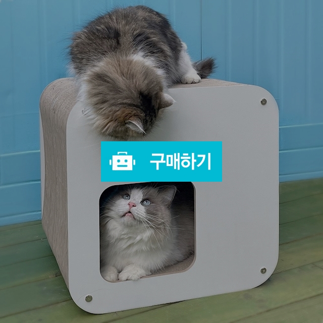 야오미 이코노믹 큐브 숨숨집 스크래쳐 (초대형)(냥이몸무게12kg까지) / 코고는 고양이 / 디비디비 / 구매하기 / 특가할인