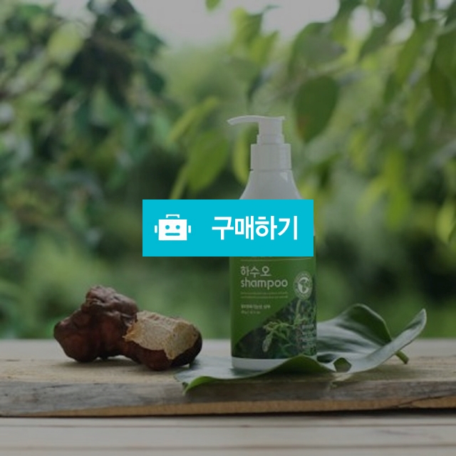 산청 하수오 샴푸 탈모관리  / 실버클라우드님의 스토어 / 디비디비 / 구매하기 / 특가할인