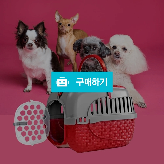 바마 강아지 고양이 이동 가방 캐리어 켄넬 애견 개 반려동물 이동장 케이지 7kg 초소형 / 다모아아토즈님의 스토어 / 디비디비 / 구매하기 / 특가할인