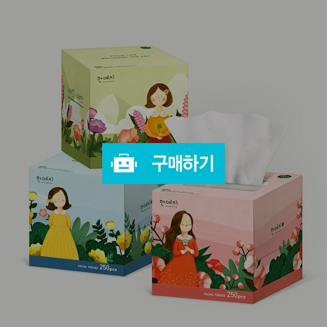 한예지 미니 미용티슈 각티슈 화장지 250매 x 48개입 / 여우텐님의 스토어 / 디비디비 / 구매하기 / 특가할인