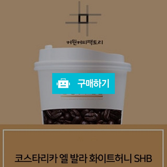 스페셜티 엘 발라  화이트 허니 SHB / 커뭔커피팩토리의 스토어 / 디비디비 / 구매하기 / 특가할인