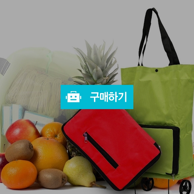 TwoGo바퀴달린장바구니 바퀴달린시장바구니 휴대용장바구니 / 싸닥9님의 스토어 / 디비디비 / 구매하기 / 특가할인