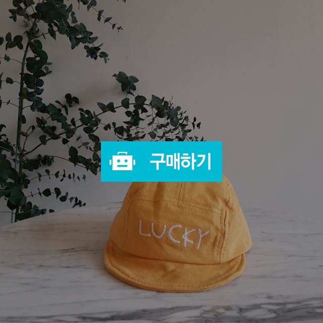 럭키캡 / 꼬마인형 / 디비디비 / 구매하기 / 특가할인