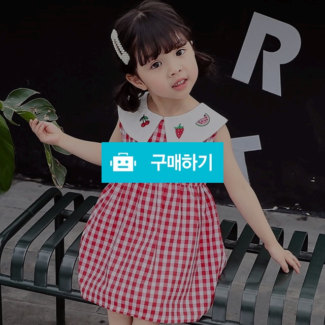 더아우라 자수 깅엄체크 원피스 / 더아우라 / 디비디비 / 구매하기 / 특가할인