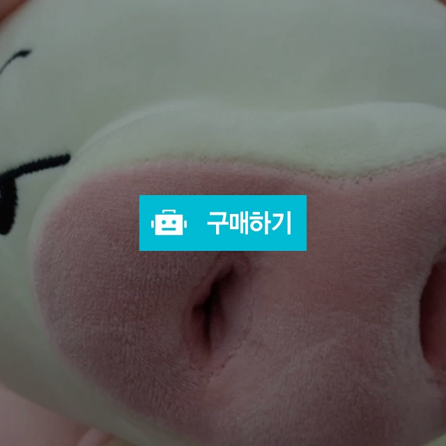 모찌돼지인형+담요 / 행복한Girl님의 스토어 / 디비디비 / 구매하기 / 특가할인