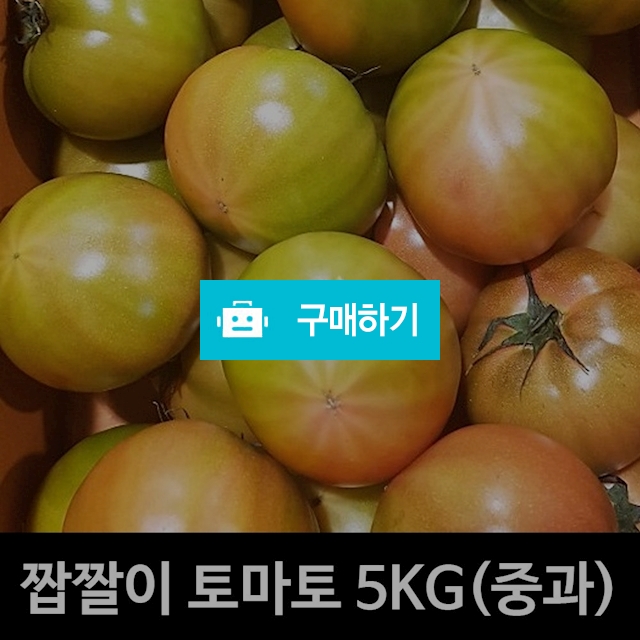 대저 짭짤이 토마토 5kg 1박스 중과 / 부평마그네 / 디비디비 / 구매하기 / 특가할인