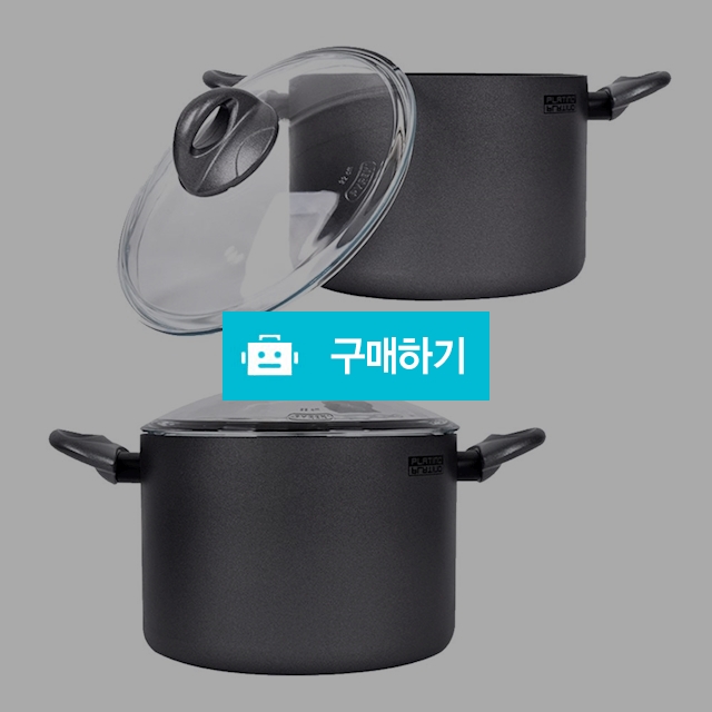 TVS 플라티노 쁘띠 곰솥 22cm / 곰솥냄비 곰탕냄비 큰냄비 육수통 삼계탕 냄비 큰곰솥 사골냄비 곰국냄비 / 다모아아토즈님의 스토어 / 디비디비 / 구매하기 / 특가할인