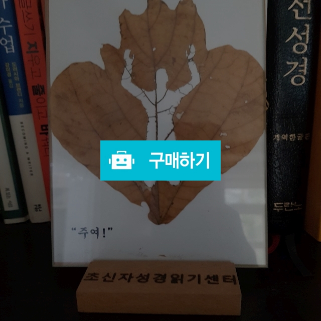 [실제 나뭇잎 액자] 손을 들고 기도하라 / 르비코스튜 / 디비디비 / 구매하기 / 특가할인