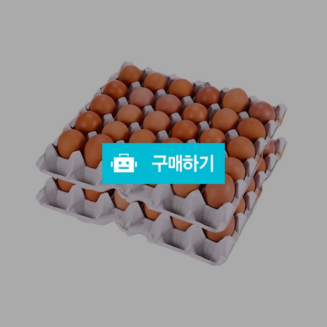 [시선] HACCP인증 쫀득쫀득한 영양간식 구운계란 60개  / 온라인대장님의 스토어 / 디비디비 / 구매하기 / 특가할인
