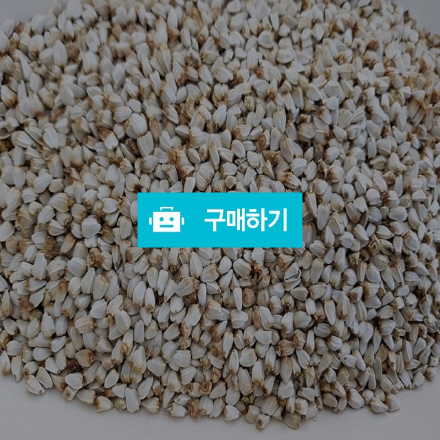 신신농산 국산 말린 홍아씨 홍화씨 차 250g / 신신농산님의 스토어 / 디비디비 / 구매하기 / 특가할인