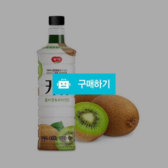 키위 농축베이스 970ml 1병 / 대박식품님의 스토어 / 디비디비 / 구매하기 / 특가할인