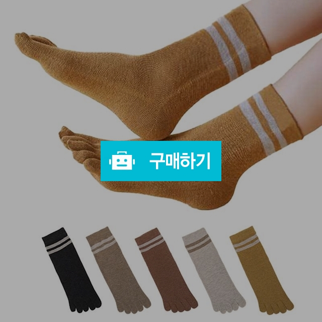 앤어바웃 5켤레 여성 코지 라인 발가락 중목양말 / 앤어바웃 / 디비디비 / 구매하기 / 특가할인