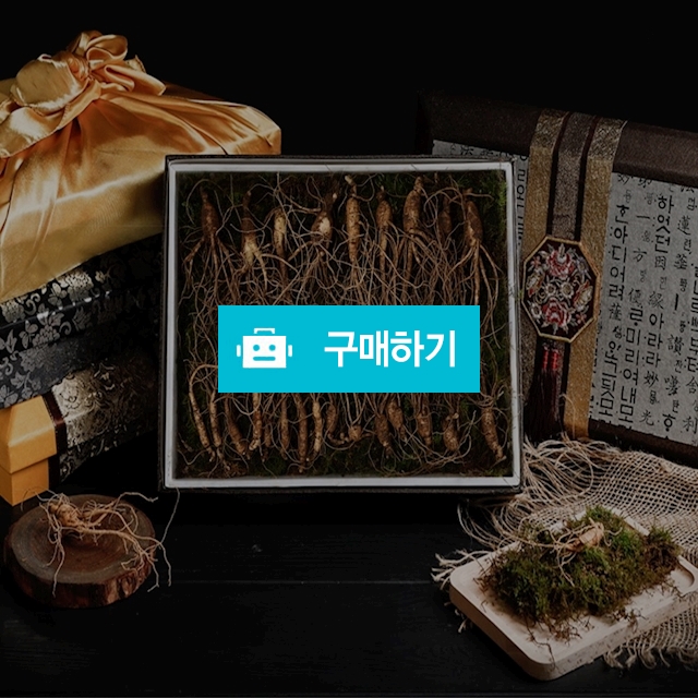 용인 삼대산삼 산양산삼 장뇌삼 유기농 무농약 산삼 5년근 9뿌리 / 노랑갈매기 / 디비디비 / 구매하기 / 특가할인