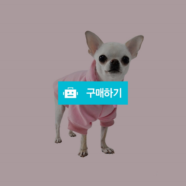 마이독 강아지옷 후드티 / 마이독님의 스토어 / 디비디비 / 구매하기 / 특가할인