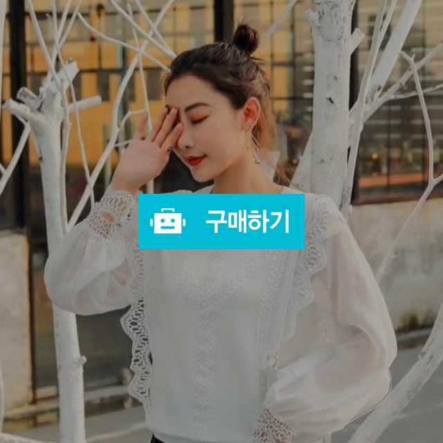 로코 레이스 쉬폰 니트 블라우스 / 오샵님의 스토어 / 디비디비 / 구매하기 / 특가할인