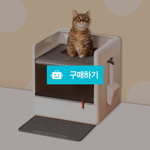캣츠올라잇 사막화 방지 고양이 대형 화장실 / 캣츠올라잇님의 스토어 / 디비디비 / 구매하기 / 특가할인