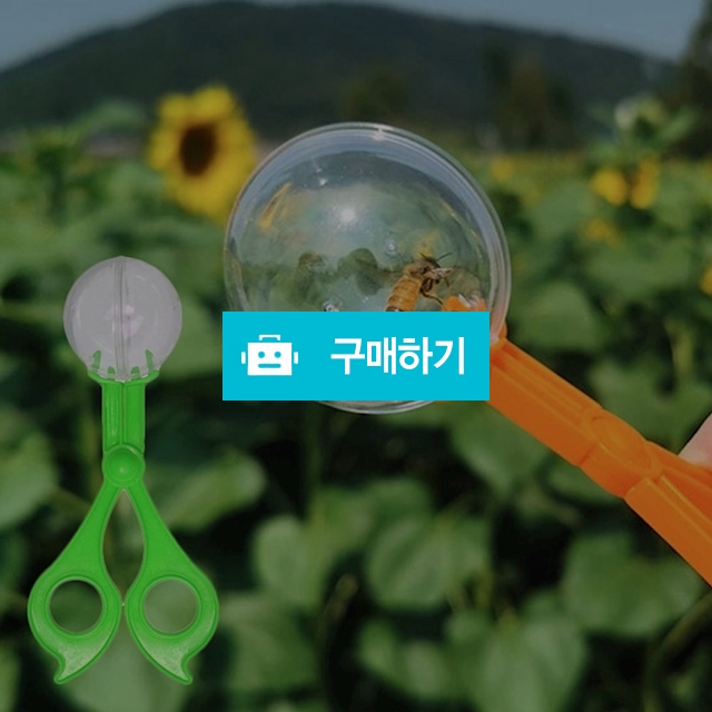 곤충 벌레 채집 관찰 가위 도구 야외 활동 학습 학생 학습용 교구 / 댕유마켓님의 스토어 / 디비디비 / 구매하기 / 특가할인