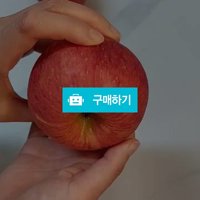 청송홍로사과 홍로햇사과 햇홍로 5kg / 미각부부 / 디비디비 / 구매하기 / 특가할인