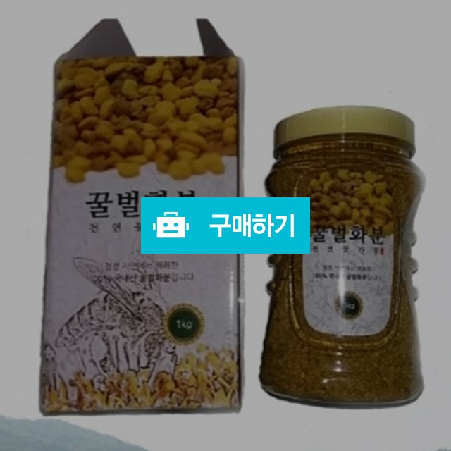 화분 / 예쁨에취했다 / 디비디비 / 구매하기 / 특가할인