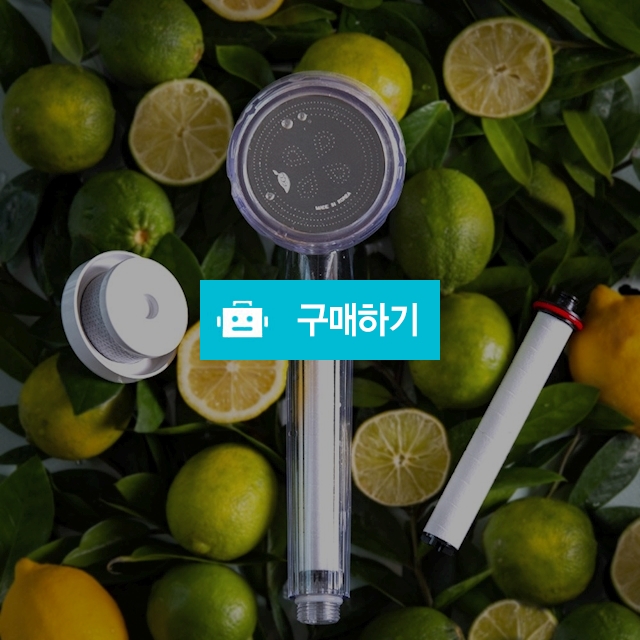 코시나 개성공방 타임백  2중 필터 샤워기 헤드 베이직세트 /여행용 /녹물 염소제거&수압상승 / 에스브로님의 스토어 / 디비디비 / 구매하기 / 특가할인