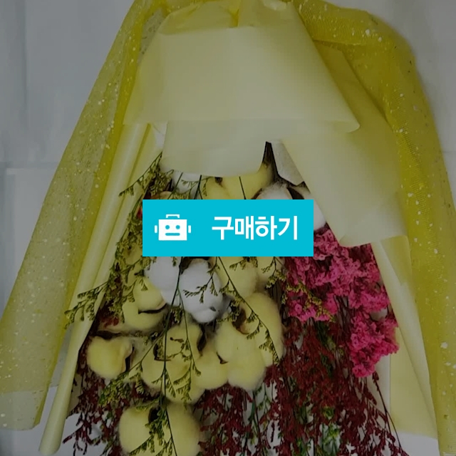 눈부셔꽃다발 졸업식 꽃다발 프리저브드 목화  / 꽃같은너에게님의 스토어 / 디비디비 / 구매하기 / 특가할인