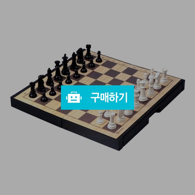 명인 교본포함 접이식 중형 자석 체스 M-200 / 설래임 / 디비디비 / 구매하기 / 특가할인