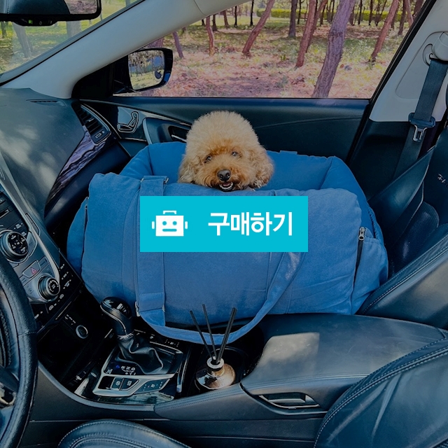 개과천선 루시 강아지 카시트 애견 애쉬블루 미디엄 중형견 / 개과천선 / 디비디비 / 구매하기 / 특가할인