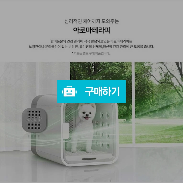 강아지드라이룸 렌탈 / 웰빙님의 스토어 / 디비디비 / 구매하기 / 특가할인