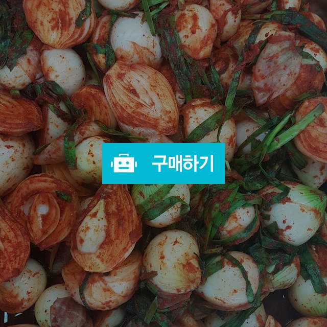 햇양파김치 / love1203 / 디비디비 / 구매하기 / 특가할인