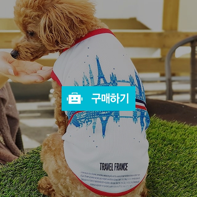 강아지옷 모던퍼피 풀프린팅 France Sleeve / 모던퍼피님의 스토어 / 디비디비 / 구매하기 / 특가할인